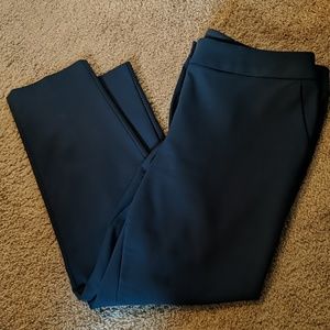 Ann Taylor LOFT blue skinny pant 14